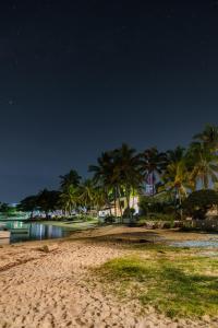 ein Strand in der Nacht mit Palmen am Ufer in der Unterkunft Villa Île aux cerfs in Trou dʼ Eau Douce