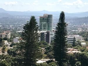 dos árboles altos frente a una ciudad en Beautiful apartment, Terrace with incredible view, 3 bdr, Escalon, Exclusive, Secure, en San Salvador