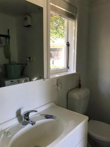 een badkamer met een wastafel, een toilet en een spiegel bij 9 Alpine Avenue in Hanmer Springs