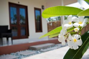 a close up of a white flower on a plant at Blue Marine Resort in Gili Air