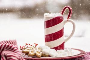 una tazza di Natale con bastoncini di zucchero e biscotti su un piatto di Holiday Inn Express Branford-New Haven, an IHG Hotel a Branford