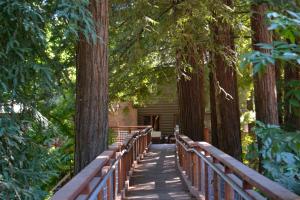 a wooden bridge in a forest with trees at Guerneville Lodge in Guerneville