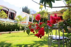 Un jardín fuera de Riad Dar Achaach