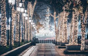 una fila di alberi decorati con luci di Natale di 3 Bedroom 2 Bathroom Apartment on Saburtalo Gagarin a Tbilisi City