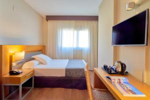a hotel room with a bed and a television at Hotel Guadalmedina in Málaga
