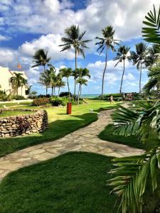 um passeio de pedra com palmeiras num parque em Nanny Estates Cabarete kiters Condo C-6 em Cabarete