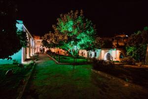 drzewo z zielonymi światłami na podwórku w nocy w obiekcie Ortahisar Cave Hotel w mieście Ortahisar