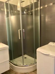 y baño con ducha de cristal y aseo. en Les Marines d'Agay Studio climatisé en Saint-Raphaël