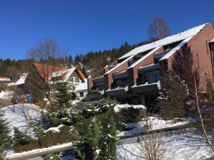 a building with snow on the ground and trees at Auszeitwohnung Black Forest in Sasbachwalden