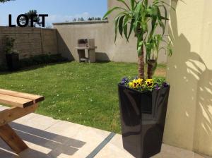 Afbeelding uit fotogalerij van Les Toiles de Mer in Wimereux