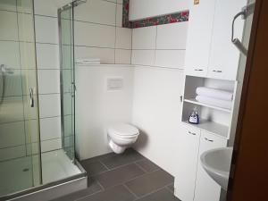 a bathroom with a toilet and a glass shower at Gästehaus Tschertou in Ferlach