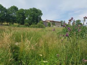 Příroda nedaleko bed and breakfast