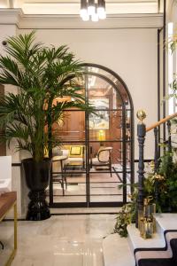 瓦倫西亞的住宿－MYR Palacio Vallier，一间有大门廊的房间,里面装有植物