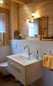 een badkamer met een wastafel en een toilet bij Landhof Kling in Mödingen