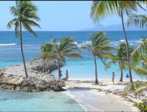 personas en una playa con palmeras y el océano en Villa de Charme, en Sainte-Anne