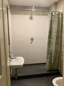 a bathroom with a shower and a sink at Hostel Fontána in Prague
