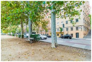 a group of trees in front of a building at Apartamentos Madrid Rio in Madrid