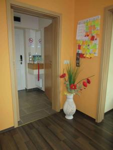 Fotografia z galérie ubytovania Zafír Sziget Apartman v destinácii Sárvár