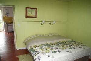Bett in einem Zimmer mit grüner Wand in der Unterkunft Gîtes Ermitage Saint Romble in Crézancy
