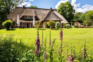 um chalé num campo com flores roxas em Hotel Hof Tütsberg em Behringen