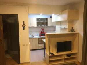 a kitchen with wooden cabinets and a tv in it at Chic MiniSuite Mirage Sinaia in Sinaia +33 photos