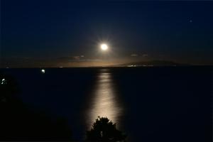 a full moon over a body of water at night at Gardenvilla Shirahama in Shimoda