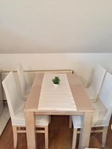 Fotografie z fotogalerie ubytování Hostel Lega House v destinaci Osijek