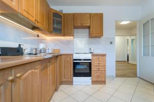 Kuchyňa alebo kuchynka v ubytovaní Wodna Street Big Family Apartment