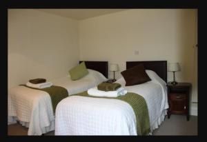 two beds in a room with white and green sheets at no 2 Leitrim Road in Carrick on Shannon