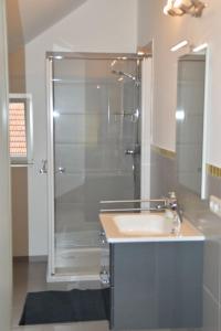 a bathroom with a glass shower and a sink at Gardenia 2 in Stadtlauringen