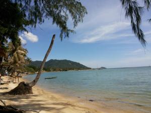 a beach with a palm tree and the ocean at ABC Bungalow in Ban Tai