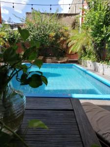 una piscina en un jardín con un jarrón sobre una mesa en Hotel Reforma en Mérida