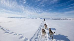 Fotografie z fotogalerie ubytování Meublé de tourisme La Jaulipière v destinaci Joursac