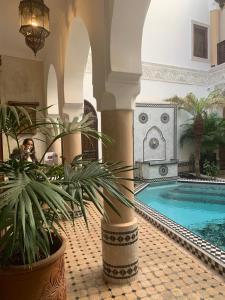 Bazén v ubytování Riad Abaka hotel & boutique nebo v jeho okolí