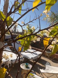 Fotografie z fotogalerie ubytování Riad Abaka hotel & boutique v Marrákéši