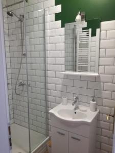 La salle de bains est pourvue d'un lavabo et d'une douche avec un miroir. dans l'établissement Center Gradec Apartment, à Zagreb