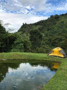 a tent sitting next to a pond in a field at Hotel Boutique Villa María in Vergara