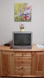 TV a/nebo společenská místnost v ubytování Tiszai Vándor Apartmanház