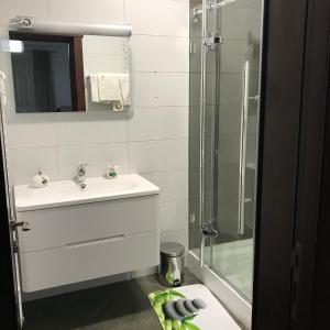 a bathroom with a sink and a shower at Casa Pino in Braşov