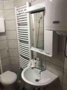 Afbeelding uit fotogalerij van Vila Bovila in Kopaonik