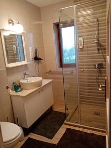 W łazience znajduje się prysznic, umywalka i toaleta. w obiekcie Balatonboglár - Golden Bridge Apartments w mieście Balatonboglár