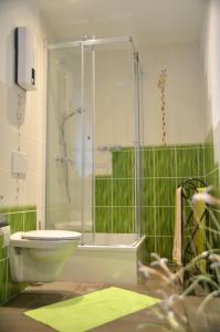 ein grünes Badezimmer mit Dusche und Toilette in der Unterkunft Ferienwohnung Marosa in Willingen + 17 Fotos