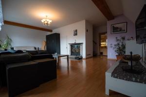 a living room with a couch and a fireplace at Šírovka in Horní Polubný
