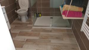 a bathroom with a toilet and a glass shower at Le Jardinet in Pont-Sainte-Maxence