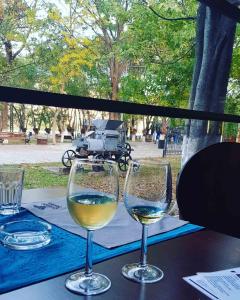 德米爾卡皮亞的住宿－Villa Bratislava，桌子上坐着两杯白葡萄酒