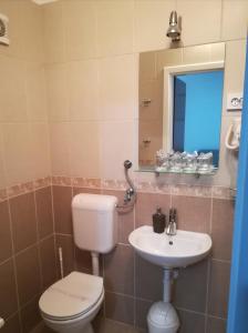 a bathroom with a toilet and a sink at Guest House Kosec in Kutina