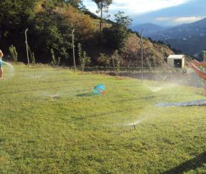 Photo de la galerie de l'établissement Quinta da Ribeira, à Peso da Régua