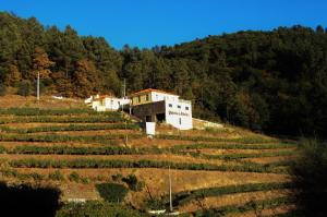 Gallery image of Quinta da Ribeira in Peso da Régua