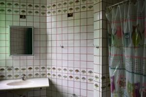 a bathroom with a sink and a mirror at Chácara Dona Eulália in Monte Alegre do Sul