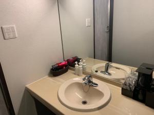 Vannituba majutusasutuses Nagoyaeki Access Hotel